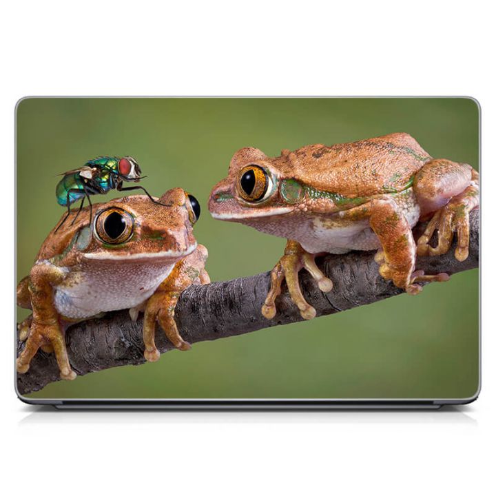 Виниловый стикер на ноутбук Пара лягушек Матовый