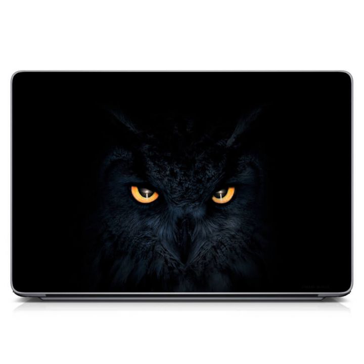 Универсальная наклейка на ноутбук 15.6"-13.3" Кот-сова Матовый 380х250 мм