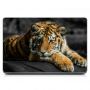 Виниловый стикер для ноутбука Тигр Матовый