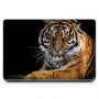 Універсальна наклейка для ноутбука 15.6"-13.3" Тигр Матова 380х250 мм
