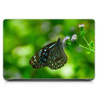 Виниловый стикер на ноутбук Бабочка Матовый