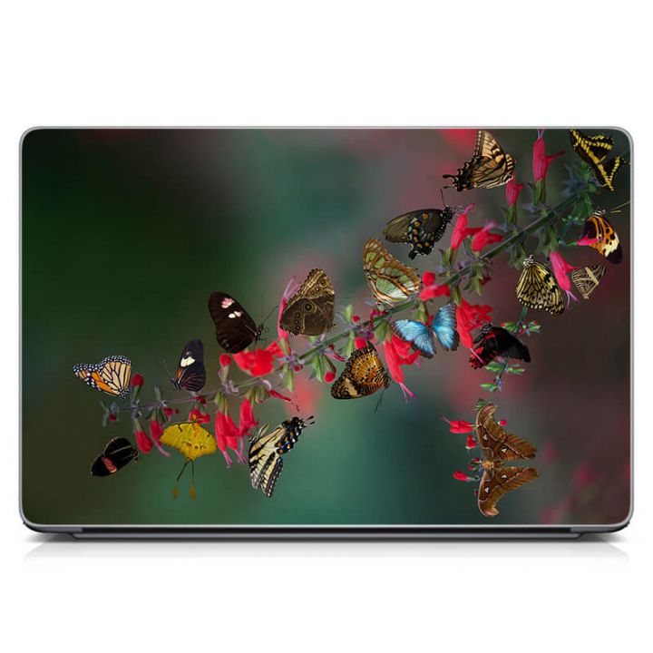 Виниловый стикер на ноутбук Бабочки Матовый