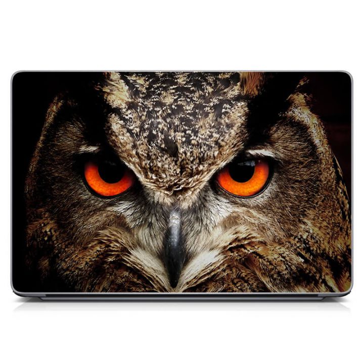 Универсальная наклейка на ноутбук 15.6"-13.3" Сова Матовый 380х250 мм