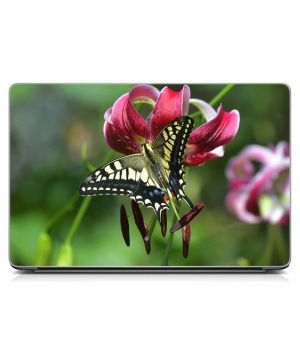 Вінілова наклейка на ноутбук Метелик махаон Матовий