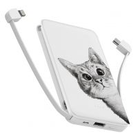 10000 mAh Повербанк українського виробництва Powerbank з принтом Ей кіт