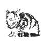 Інтер'єрна наклейка "Сонна кішка"