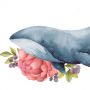 Интерьерная наклейка Акварельный кит, 66718