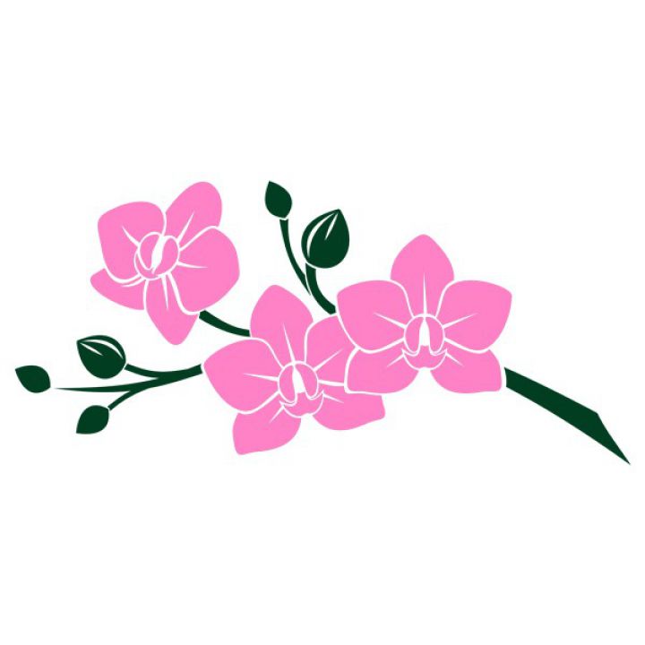 Интерьерная Наклейка Glozis Pink Orchid