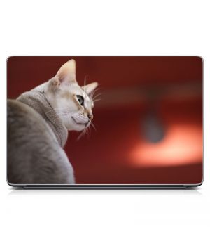 Наклейка на ноутбук - Singapura Cat