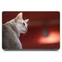 Наклейка на ноутбук - Singapura Cat