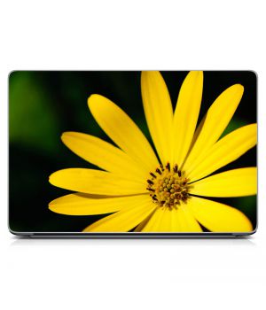Наклейка на ноутбук - Sunshine Flower
