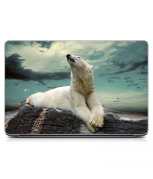 Наклейка на ноутбук - Polar Bear