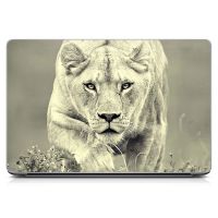 Універсальна наклейка для ноутбука 15.6"-13.3" Lioness 380х250 мм