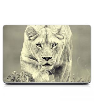 Універсальна наклейка для ноутбука 15.6"-13.3" Lioness 380х250 мм