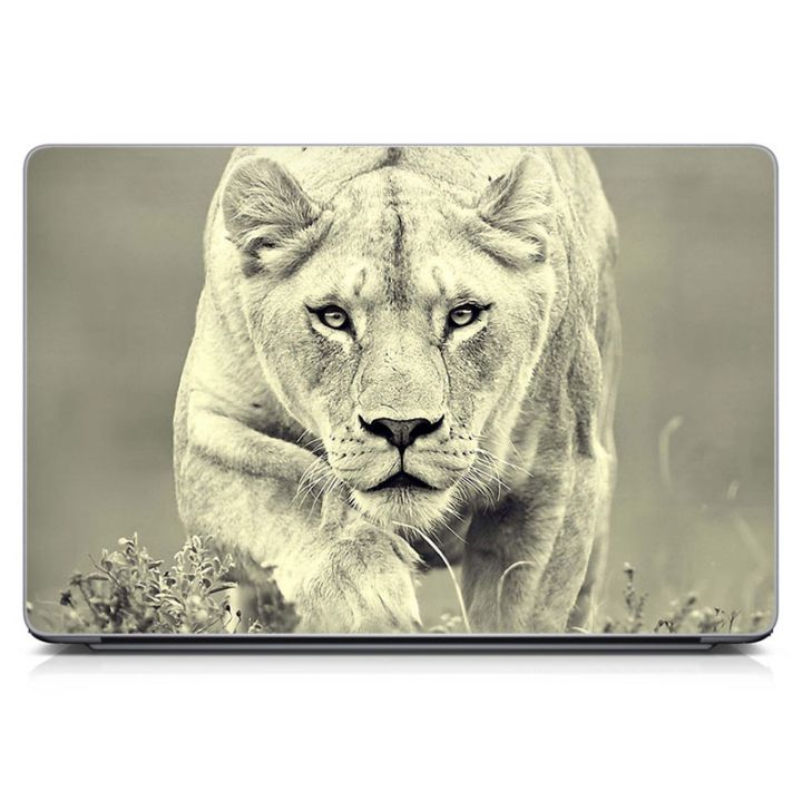Универсальная наклейка на ноутбук 15.6"-13.3" Lioness 380х250 мм