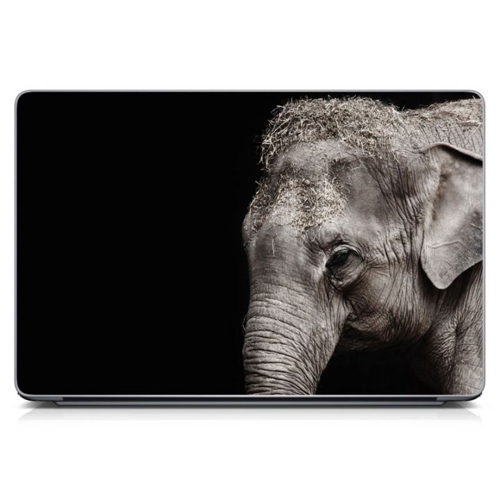 Наклейка на ноутбук - Elephant