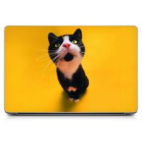 Наклейка на ноутбук - Nosey Cat