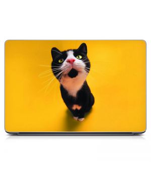 Наклейка на ноутбук - Nosey Cat