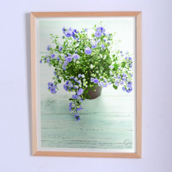 Постер для дома Голубые цветы в горшке