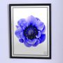 Постер для дома Крупный синий цветок