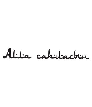 Наклейка на авто - Алла Сакласин, без фону