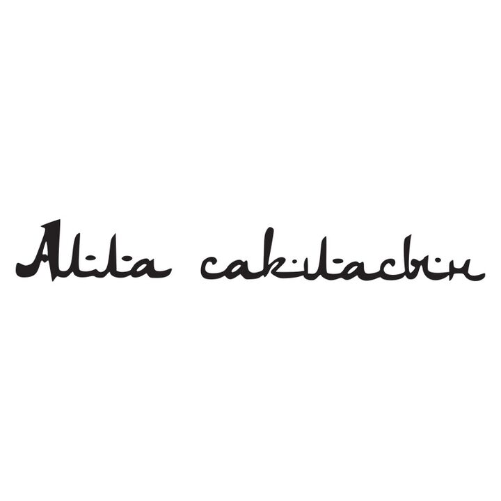 Наклейка на авто - Алла Сакласин