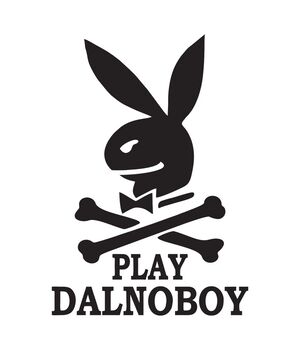 Наклейка на авто - Play Dalnoboy, без фона