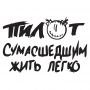 Наклейка на авто - Пилот Сумасшедшим жить легко
