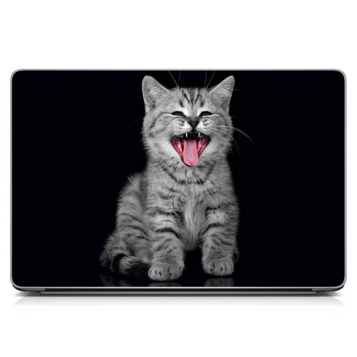Універсальна наклейка для ноутбука 15.6"-13.3" Котик Матова 380х250 мм