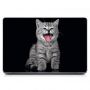 Универсальная наклейка на ноутбук 15.6"-13.3" Котик Матовая 380х250 мм
