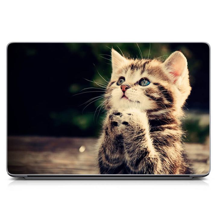 Наклейка на ноутбук Миле кошеня Матова