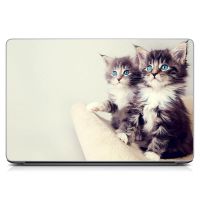 Універсальна наклейка для ноутбука 15.6"-13.3" Двоє кошенят Матова 380х250 мм
