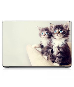 Универсальная наклейка на ноутбук 15.6"-13.3" Двое котят Матовая 380х250 мм