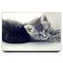 Универсальная наклейка на ноутбук 15.6"-13.3" Серый котенок Матовая 380х250 мм