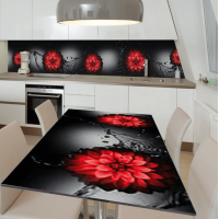 Вінілова наклейка на кухонний стіл Z182183st