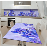 Вінілова наклейка на кухонний стіл Z182123st