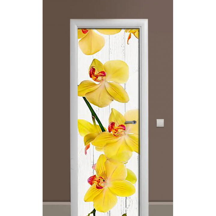 Декоративная наклейка на дверь комнаты TR456514