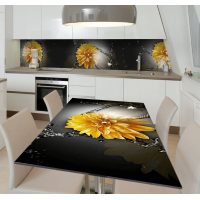 Вінілова наклейка на кухонний стіл Z182119st