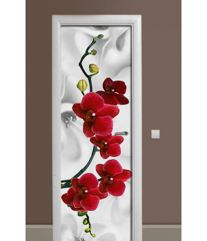 Декоративная наклейка на дверь комнаты TR456515