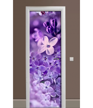 Декоративная наклейка на дверь комнаты TR456367