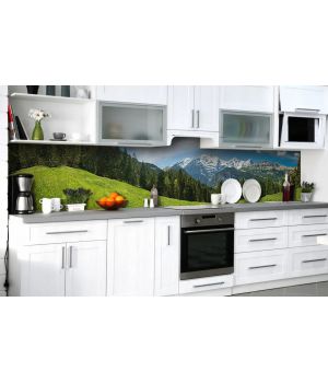 Скіналі для кухні, кухонний фартух наклейка на стіну NZ183520