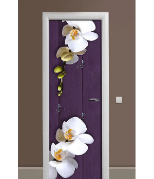 Вінілова глянцева наклейка на міжкімнатні двері TR456501