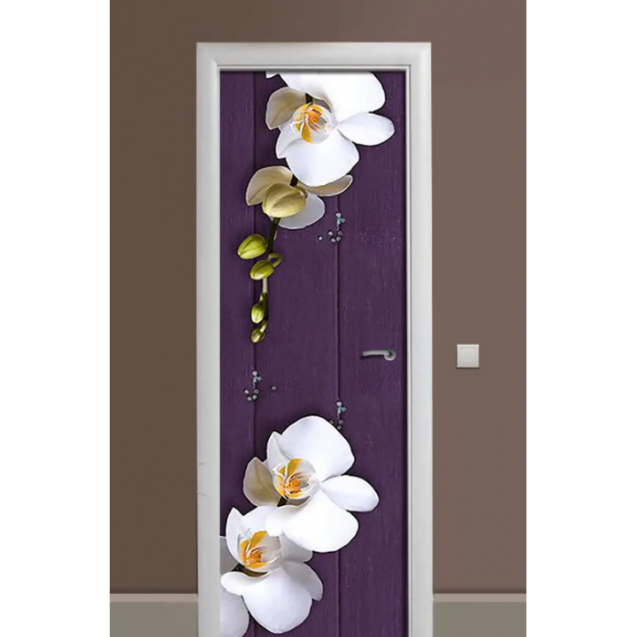 Декоративная наклейка на дверь комнаты TR456501