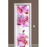 Вінілова глянцева наклейка на міжкімнатні двері TR456526