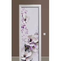 Декоративная наклейка на дверь комнаты TR456527