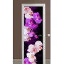 Декоративная наклейка на дверь комнаты TR456415