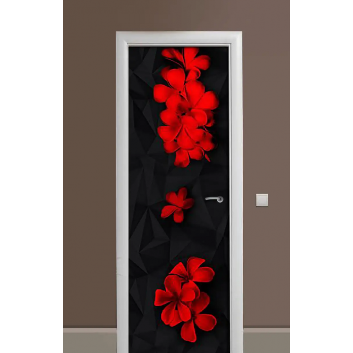 Декоративная наклейка на дверь комнаты TR456371