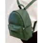 Рюкзак Fuji BSH зеленый